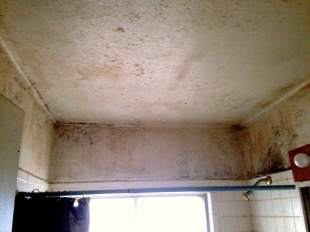 Mold_on_ceiling_of_bathroom.jpg