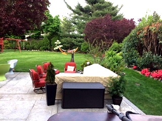 Mosquito Free Backyard BBQ