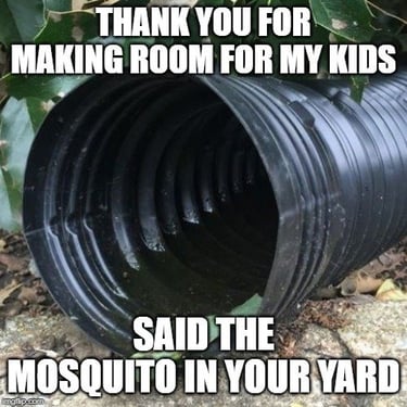 Mosquito control
