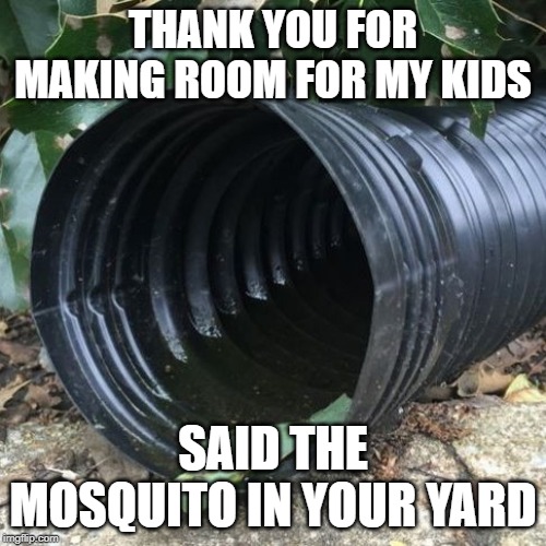 common residential Mosquito breedig area