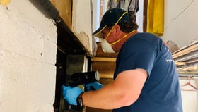 lead paint inspections