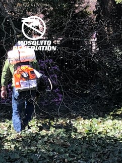 mosquito control service haddonfield
