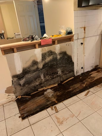 Black Mold