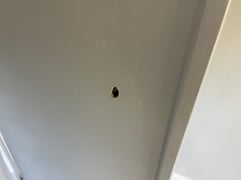 NJ lead inspection for rentals