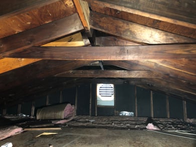 Mold inspection camden county