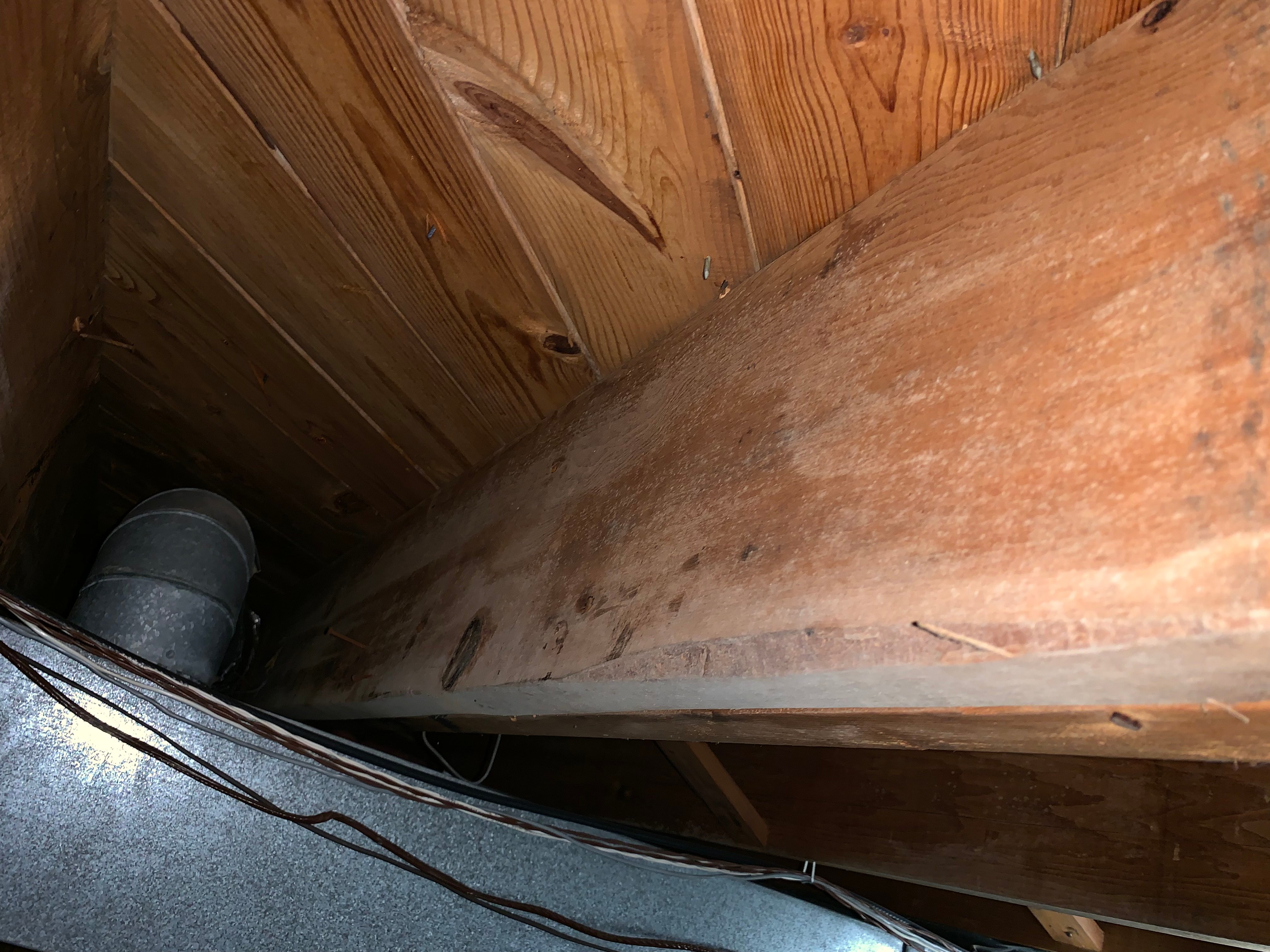 Do I need a mold inspection?