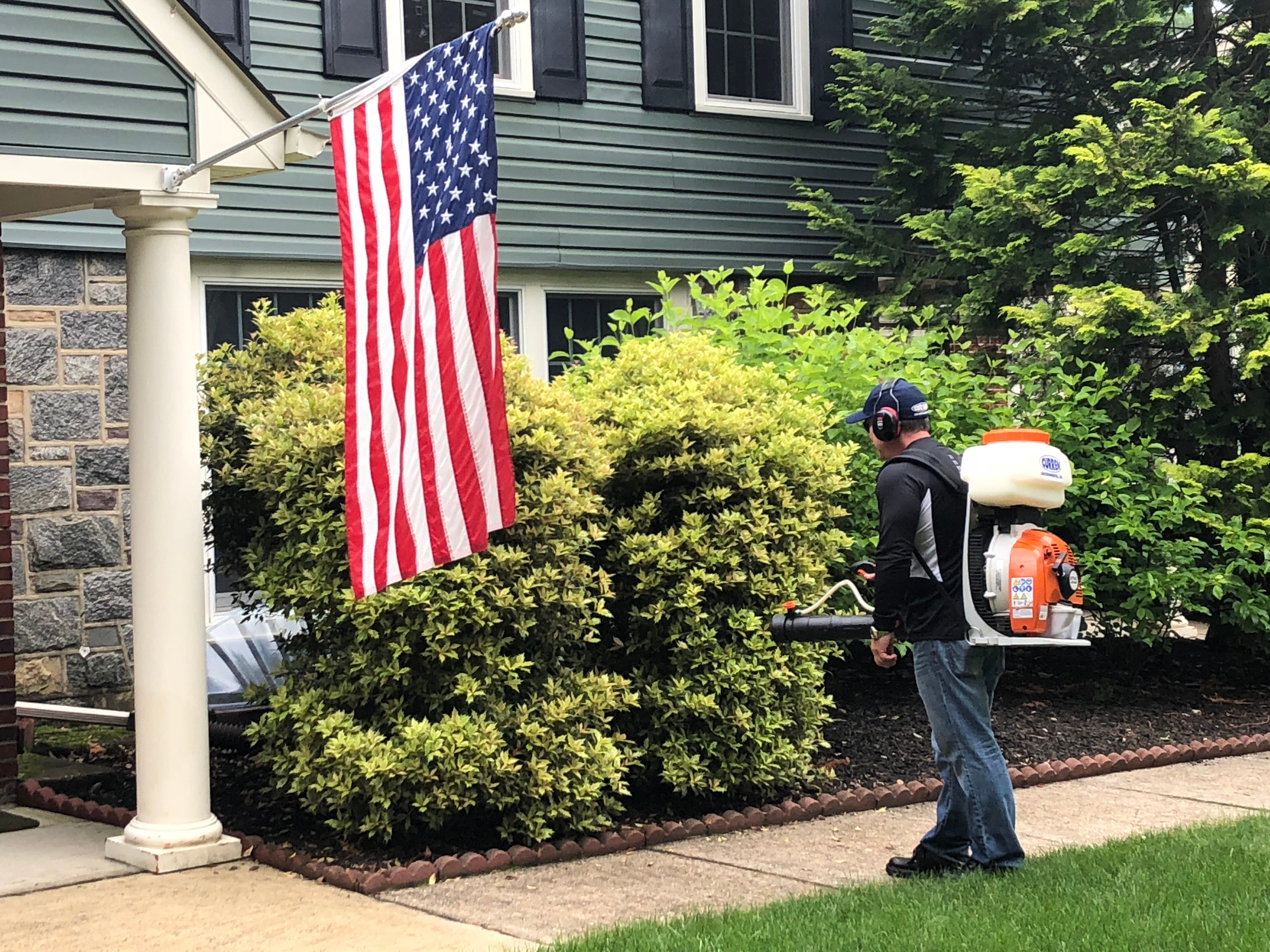 mosquito removal service