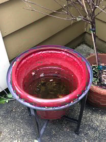 Homeowner mosquito control