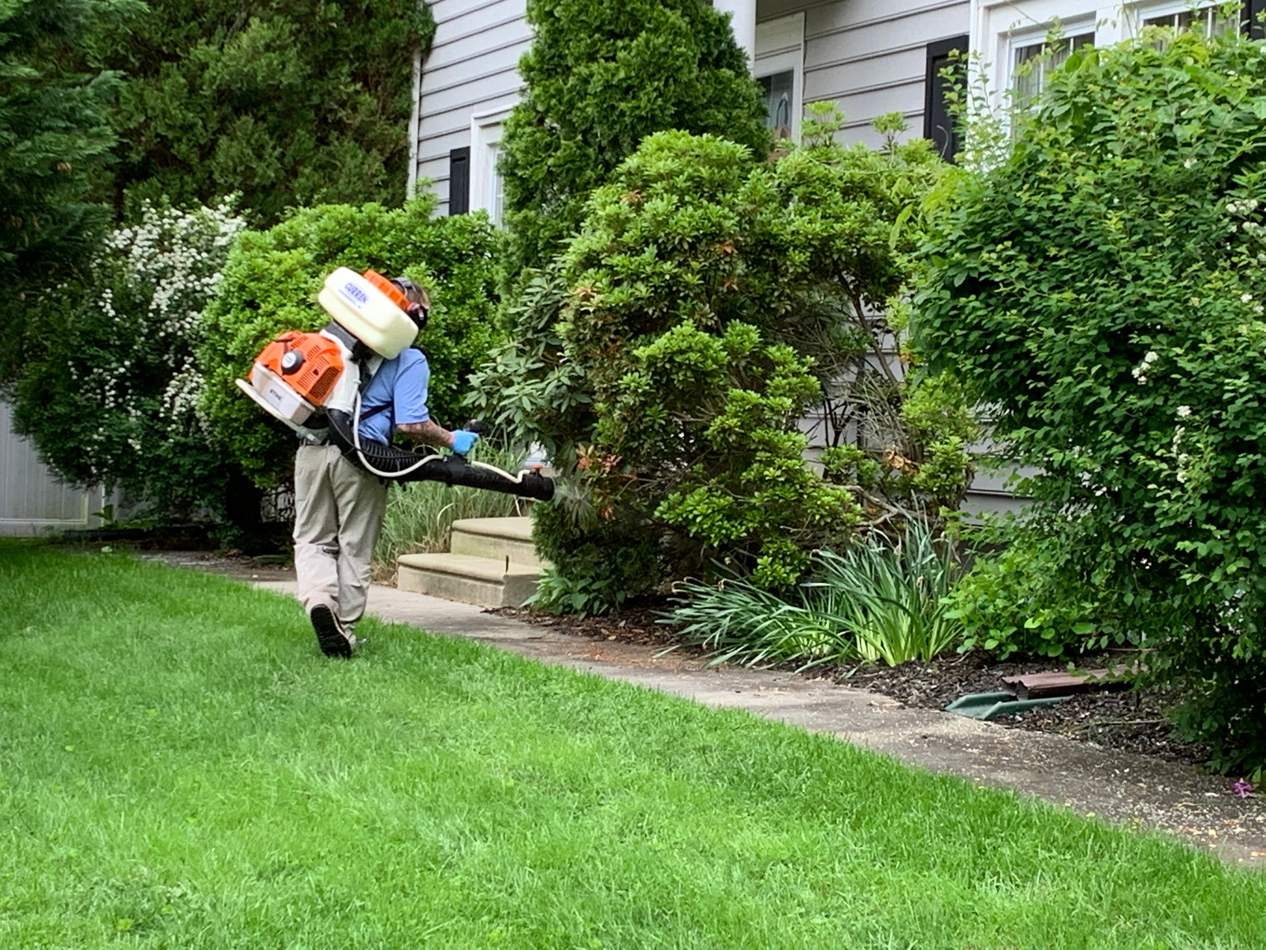 mosquito spray service