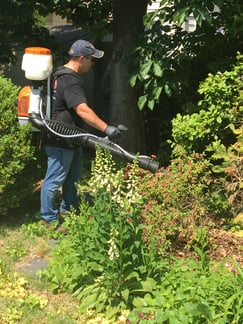 mosquito control service cherry hill