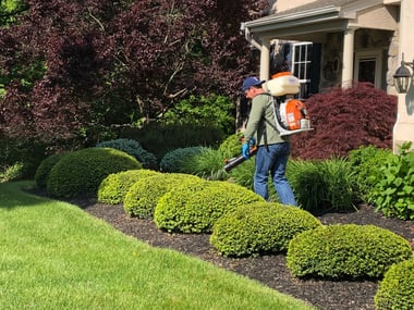 Mosquito Control Service