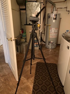 mold testing