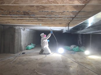 professional mold remediation