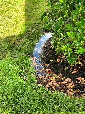 how do I get rid of mosquitoes