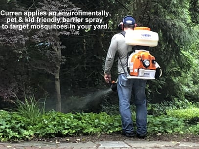 Mosquito control Targets Mosquitoes where they live