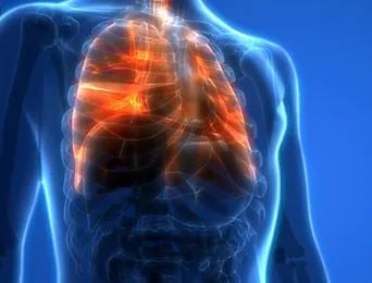 inhaling mold spores