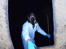 mold remediation