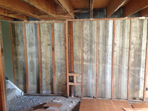 mold remediation in a basement