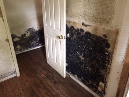 mold prevention5.jpg