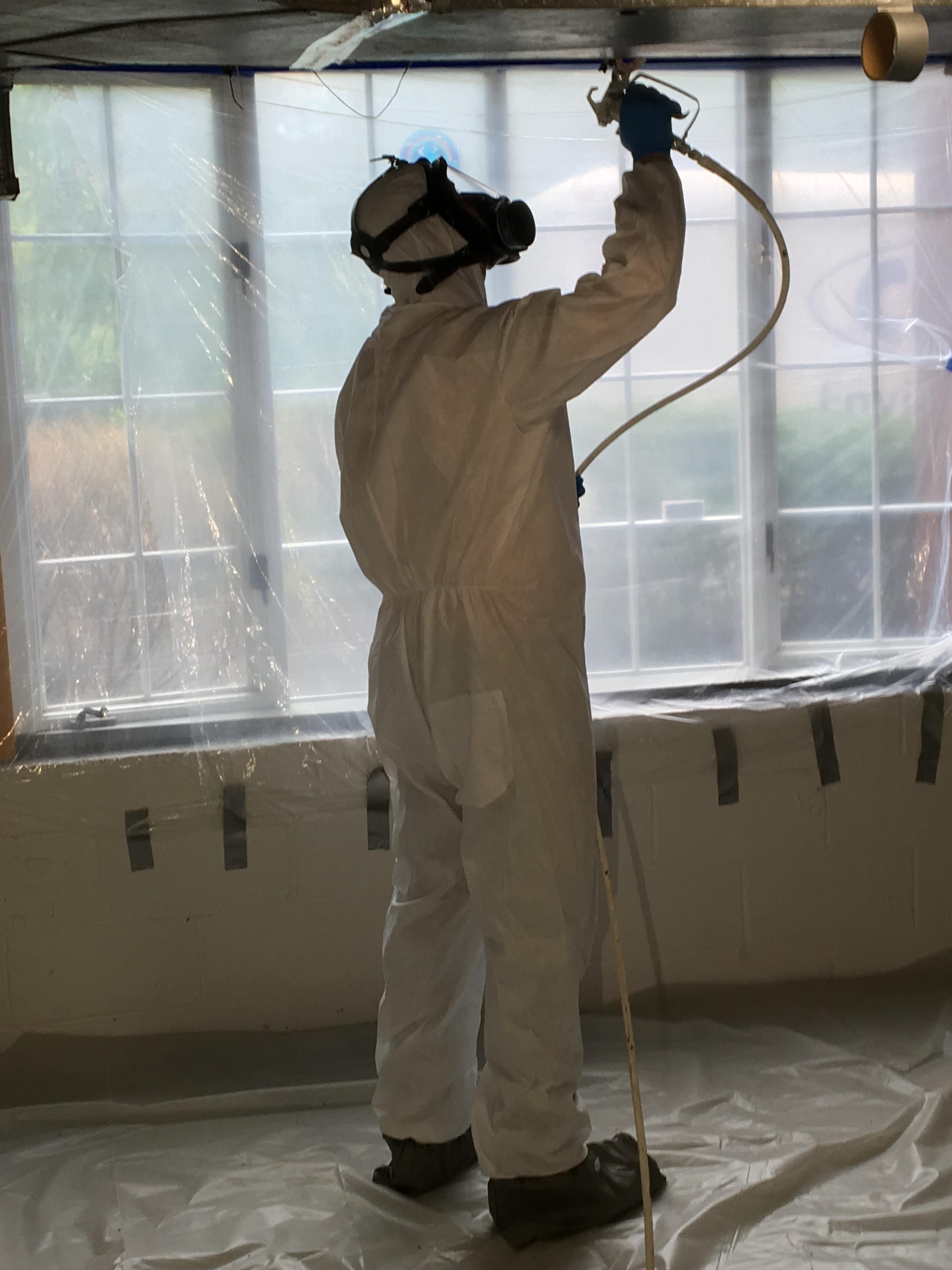 mold remediation - mold cleanup