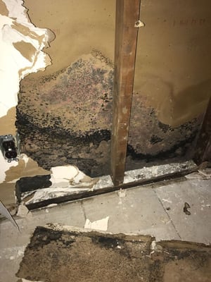 hidden mold behind walls