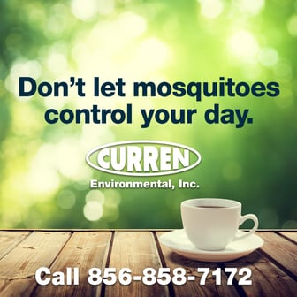 mosquito control service for your yard