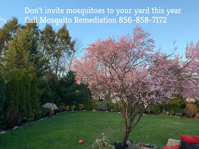 do mosquito control services work