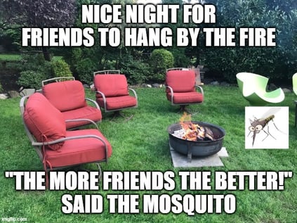 mosquito yard control