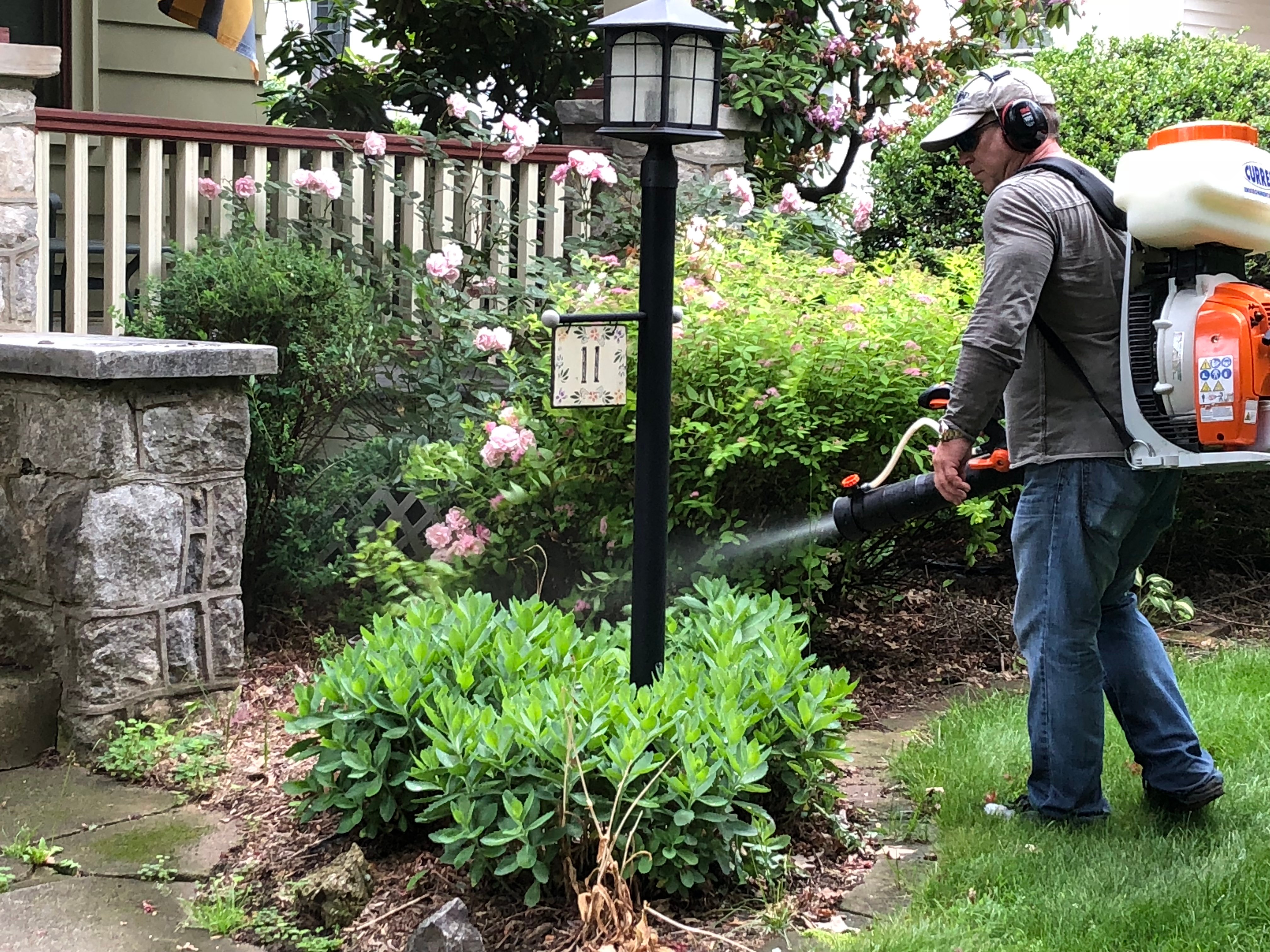 residential mosquito control-1