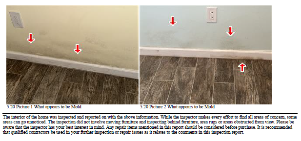 suspect mold observed by home inspector