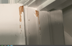 what does deteriorated lead paint look like