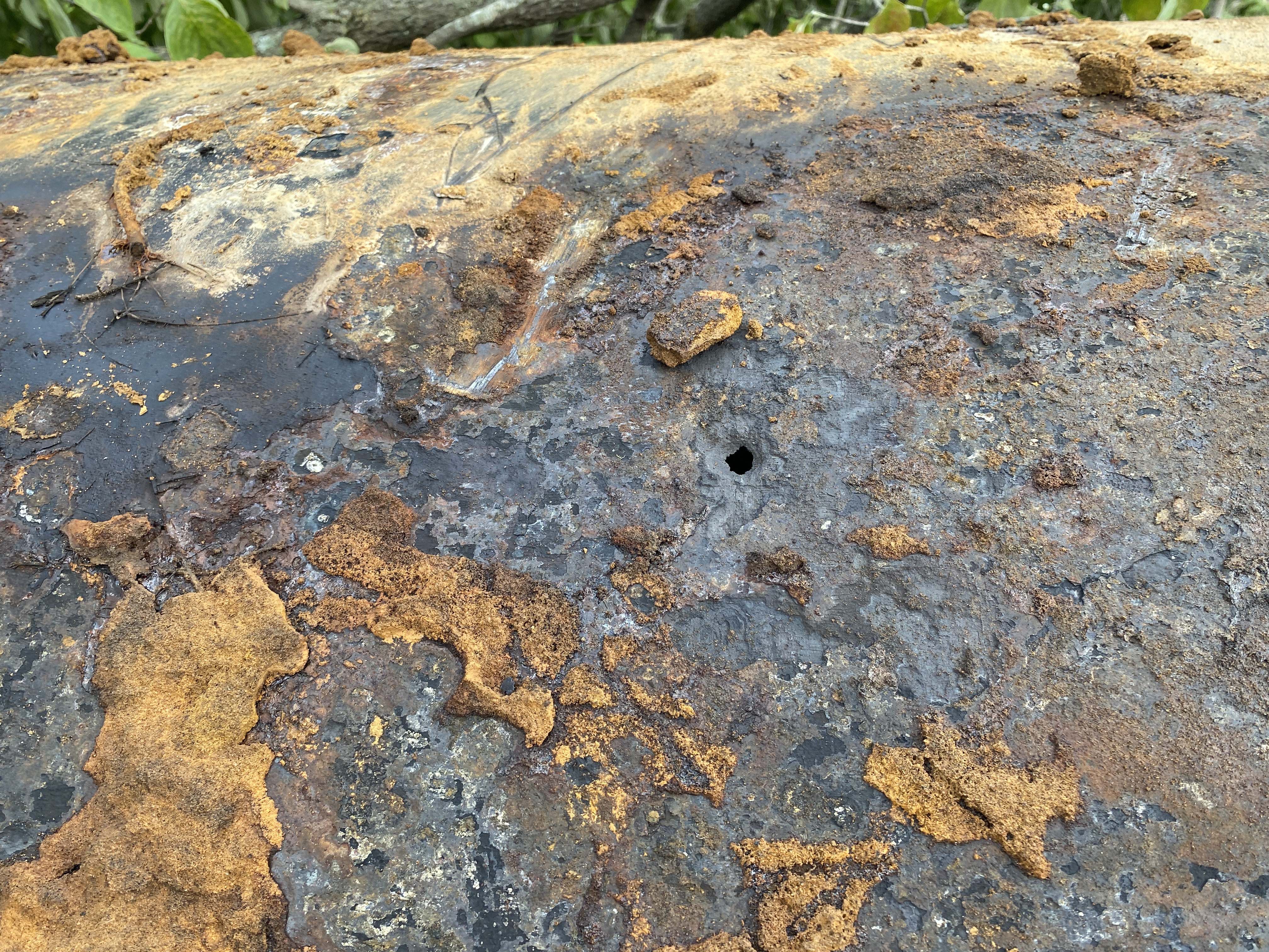 How do you know if your tank is leaking?