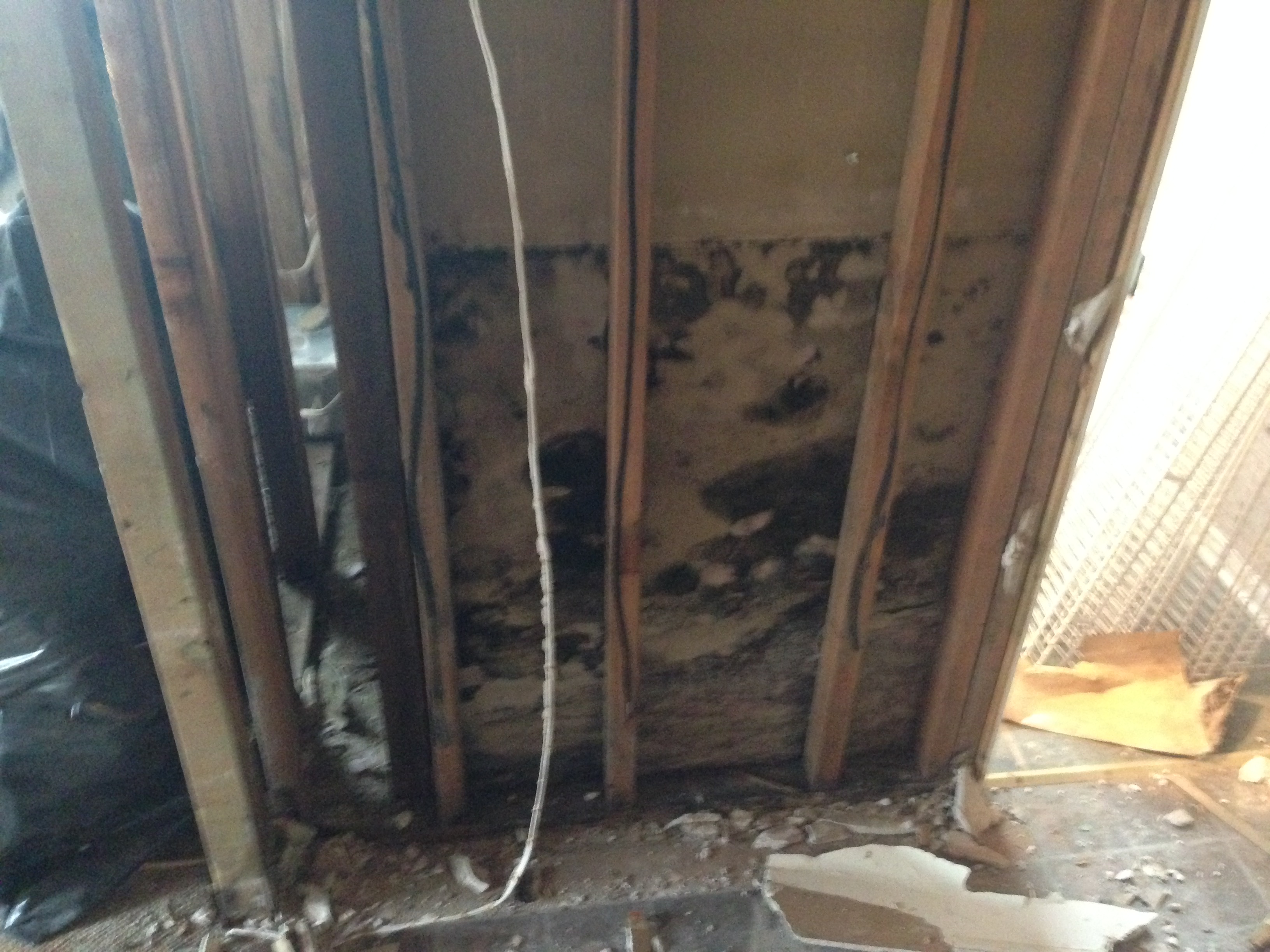 Buying a house with mold.