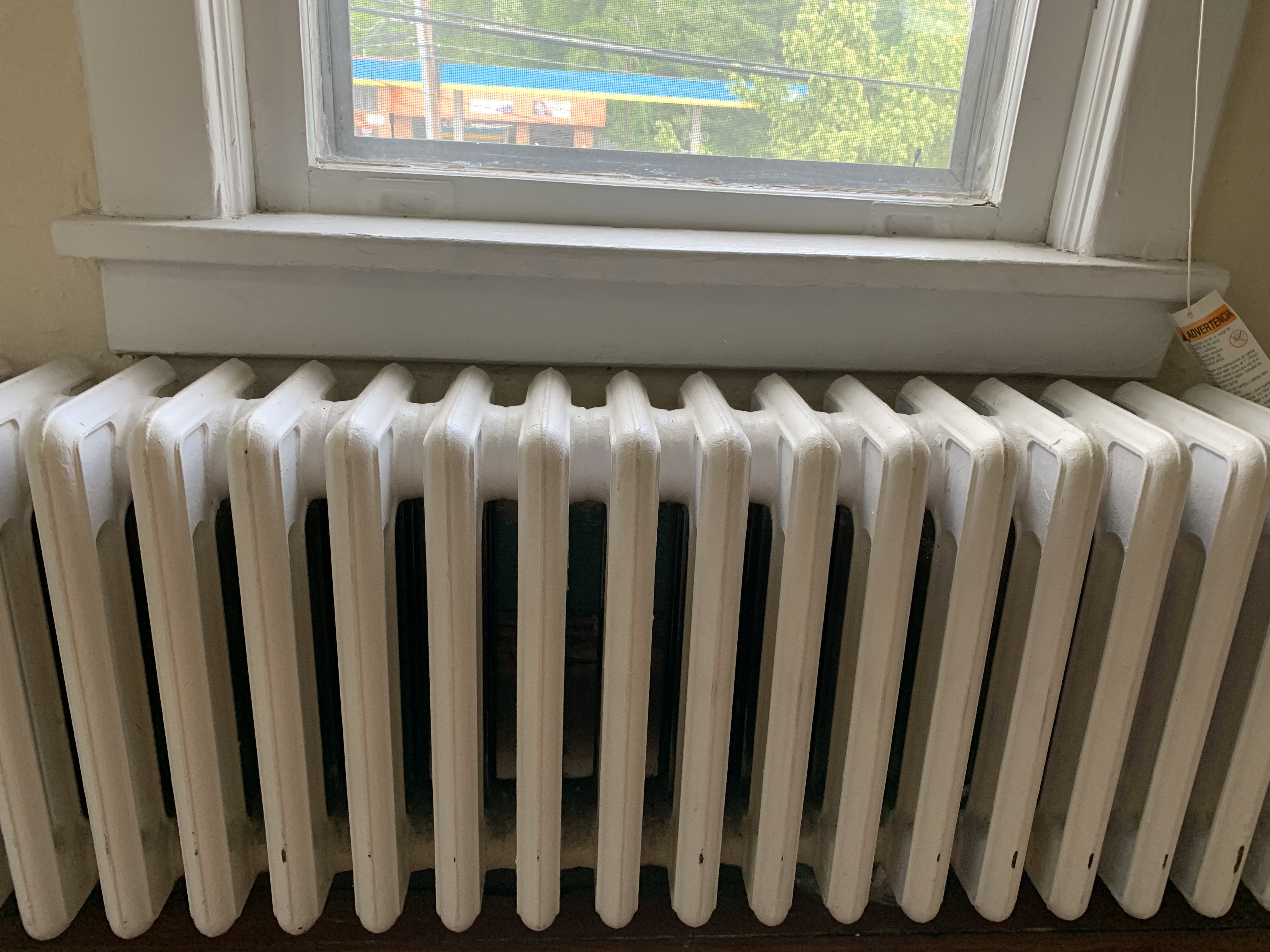 How do I manage Lead Paint in My Home? aka Do I need a Lead Paint