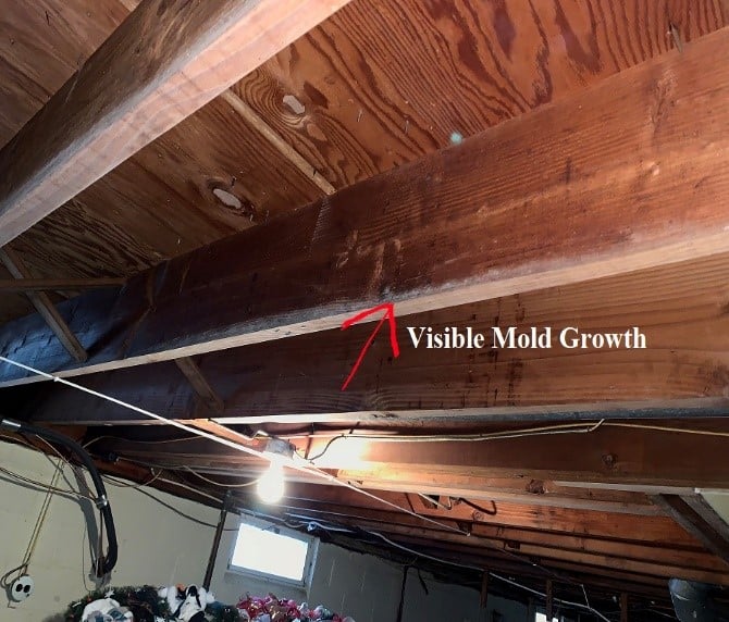 Mold Growth on basement Rafter