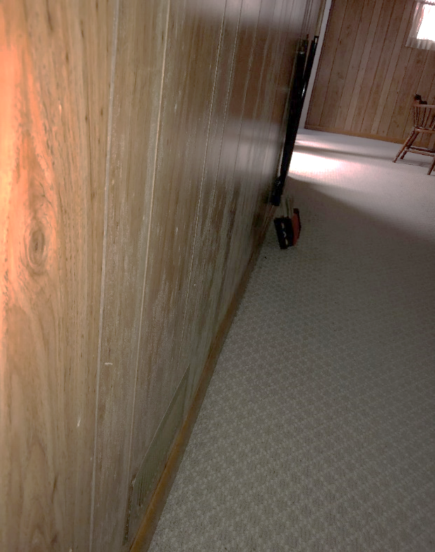 Mold growth on panneling walls