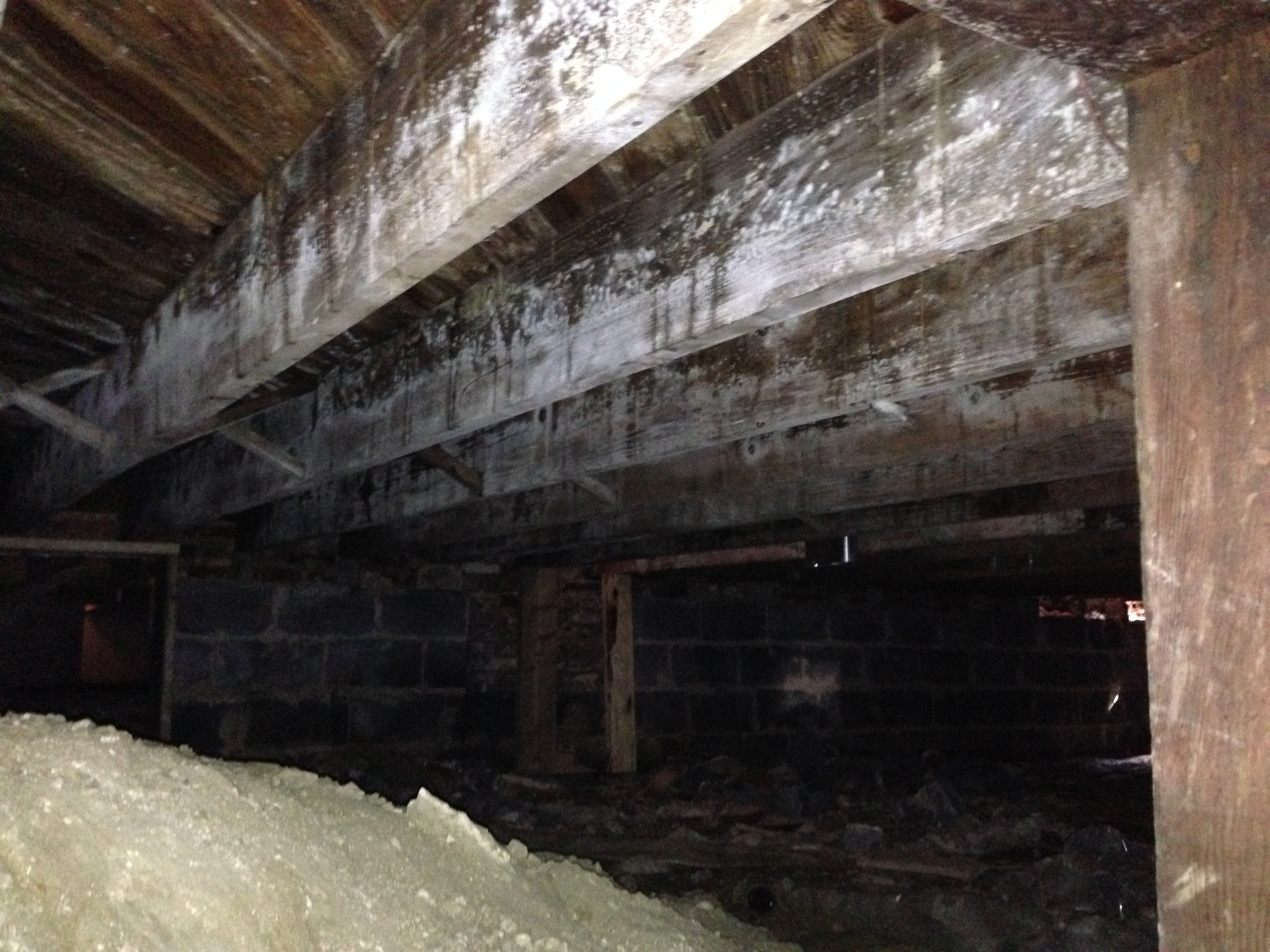 Crawl Space Mold Remediation