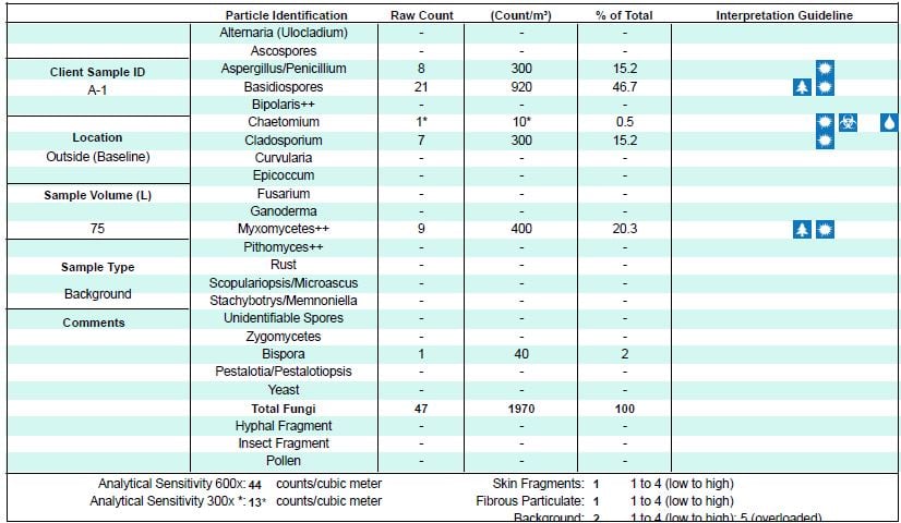 How to Read Your Mold Report – Paul Sakson Environmental